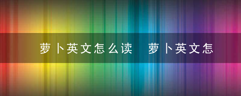 萝卜英文怎么读 萝卜英文怎么读音发音英语